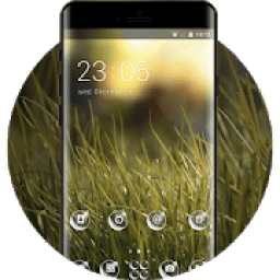 Nature theme wallpaper grass glare light greenery icon