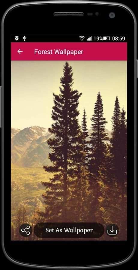 Forest Wallpaper screenshot 1