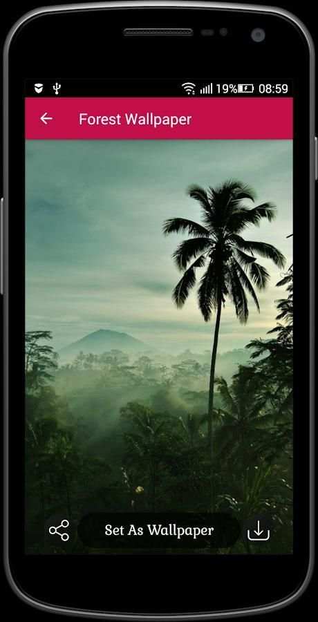 Forest Wallpaper screenshot 2
