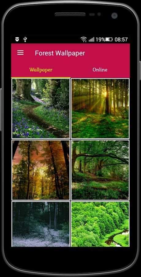 Forest Wallpaper screenshot 5