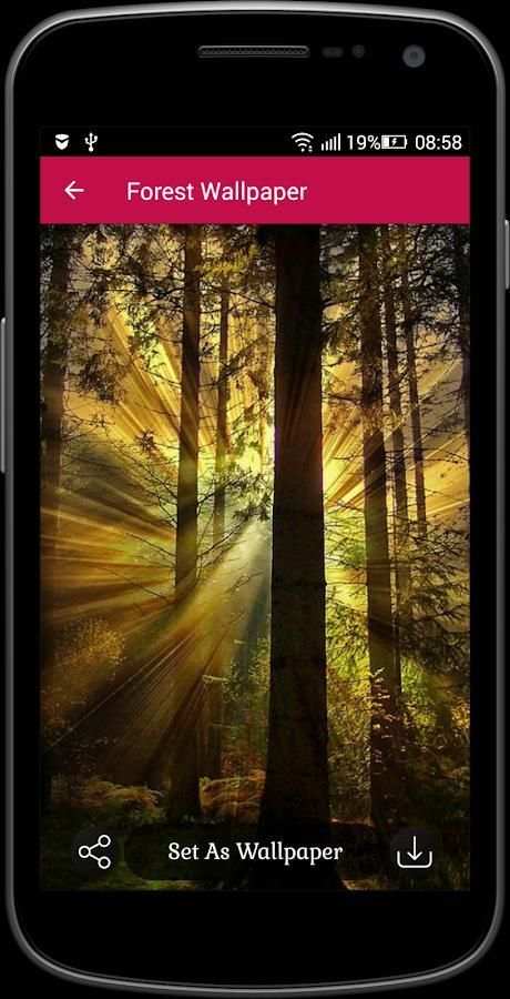 Forest Wallpaper screenshot 3