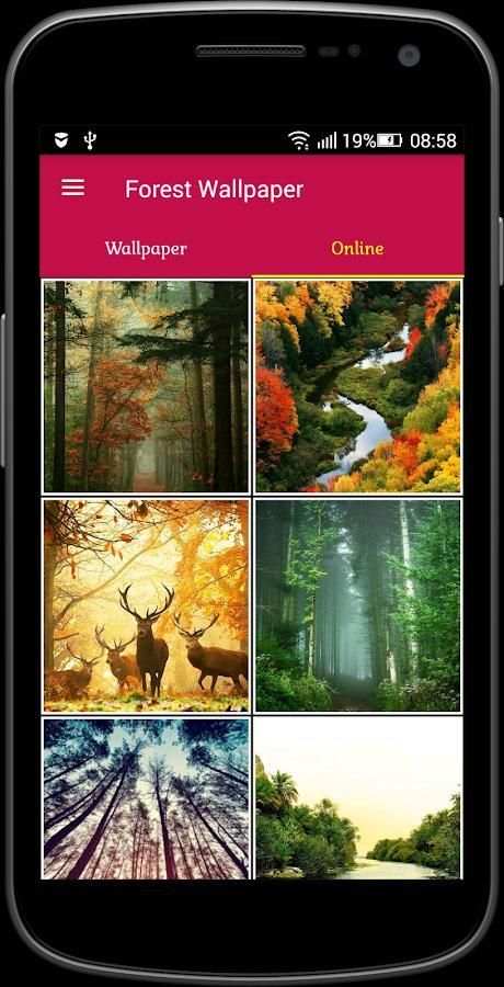 Forest Wallpaper screenshot 4