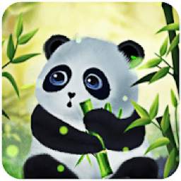 Panda Live Wallpaper for Free