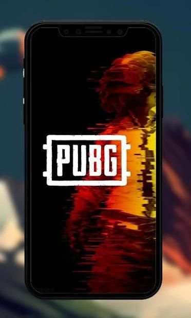 Pubg Wallpapers screenshot 3