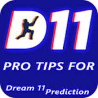 Dream11 Pro Tips & Prediction