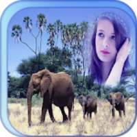 Elephant Photo Frame