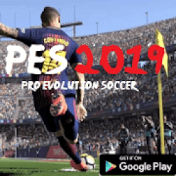 ikon Guide PES 2019 Pro