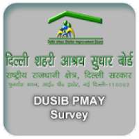 DUSIB PMAY Survey