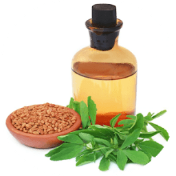 فوائد الحلبة للنساء icon