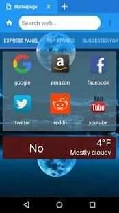 Ice Browser screenshot 4