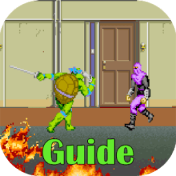 ikon Guide for Teenage Mutant Ninja Turtles