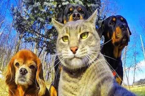 Camera For Samsung Galaxy S8/S8+ screenshot 1