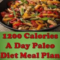 1200 Calories A Day Paleo Diet Meal Plan on 9Apps