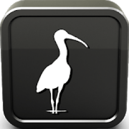 Ibis Sounds Ringtone आइकन
