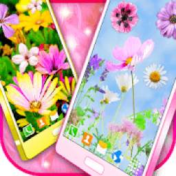 Spring and Summer Flowers Live Wallpaper