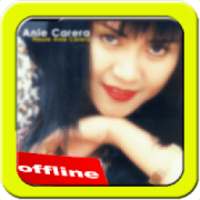 Ani Carera Offline on 9Apps