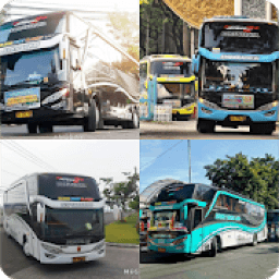Bus Agam Tungga Jaya SHD icon