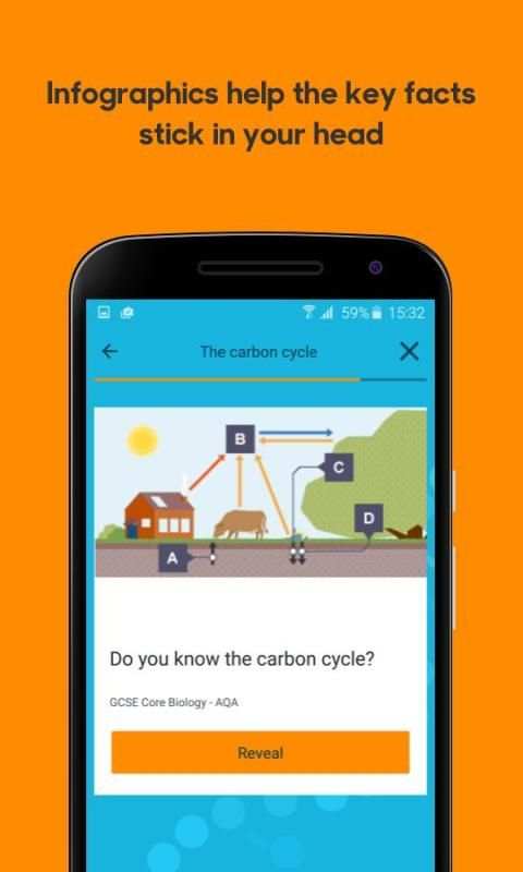 BBC Bitesize - Revision screenshot 2