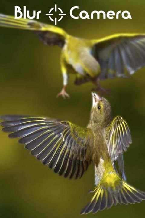 Blur Camera screenshot 2