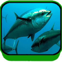 Suara Pemanggil Ikan Terbaru أيقونة