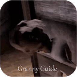 ikon Guide For Granny 2018