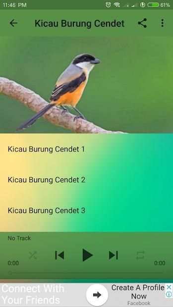 Kicau Burung Masteran Lengkap screenshot 2