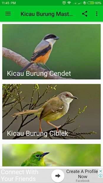 Kicau Burung Masteran Lengkap screenshot 4