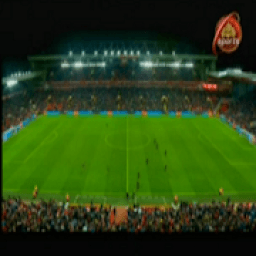 Sports Streaming Live TV Channel on PTV in HD icon