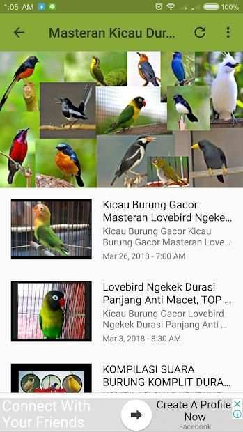 Kicau Burung Masteran Lengkap screenshot 1