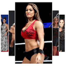 ikon Nikki WWE Wallpapers HD