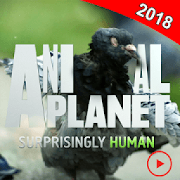 Animal Planet: Channel 2018 आइकन
