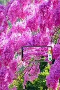 Oke camera screenshot 2