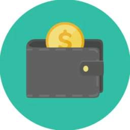 pay money 1.0