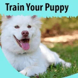 How to Train Your Puppy आइकन