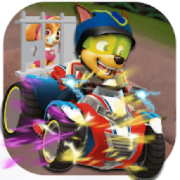 Paw speeder dash for sky patrol icon