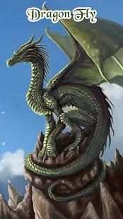 Dargon Fly screenshot 1