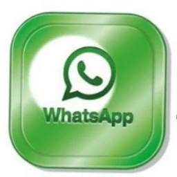 what's app protection -secure your what's app