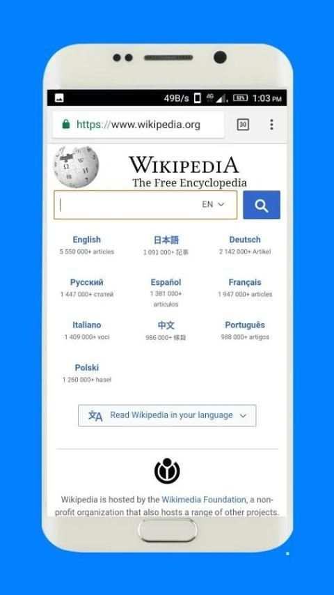 All Browser screenshot 2