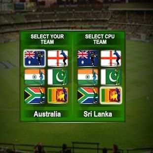 Cricket Challenge screenshot 3