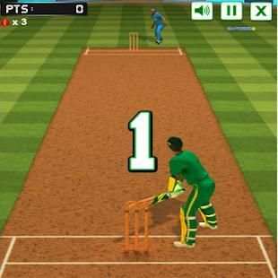 Cricket Challenge screenshot 1