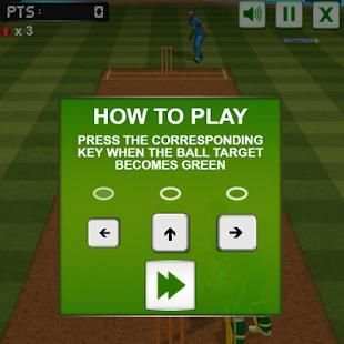 Cricket Challenge screenshot 2