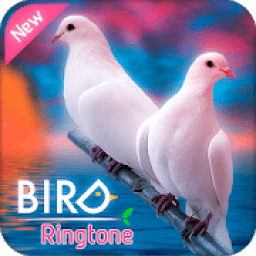 ikon Ringtones 2018: Birds Sounds Ringtones