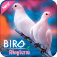 Ringtones 2018: Birds Sounds Ringtones