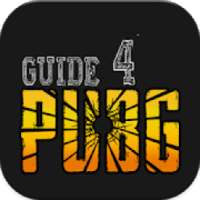 Guide For Free Battlegrounds Fire Game