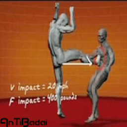 ikon Panduan Latihan Beladiri Terbaik