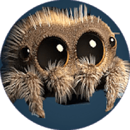 Lucas the Spider Lucas आइकन