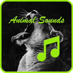 ikon Animal sounds - जानवरों की आवाज़ें - પશુ અવાજ