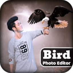 Bird Photo Editor