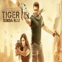 Tiger zinda hai full movie discount download hd 720p free download dailymotion