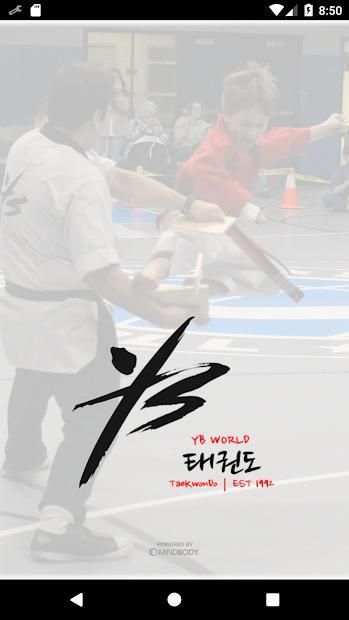 YB World Taekwondo Academy screenshot 4